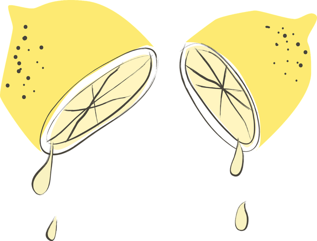 레몬 이미지1